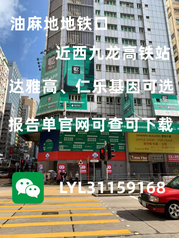 香港查血中介會亂出報告嗎？